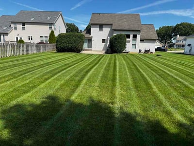 Lawn Care service in North Ridgeville, 44039
