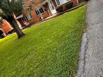Lawn Care service in Ashville, 43103