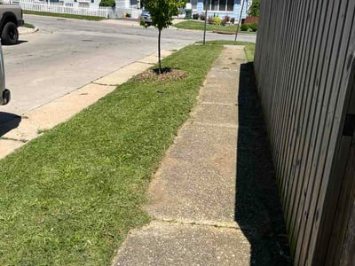 Lawn Care service in Lutherville Timonium, 21093