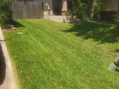 Lawn Care service in Cedar Creek, 78612