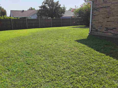 Lawn Care service in Lancaster, 75146