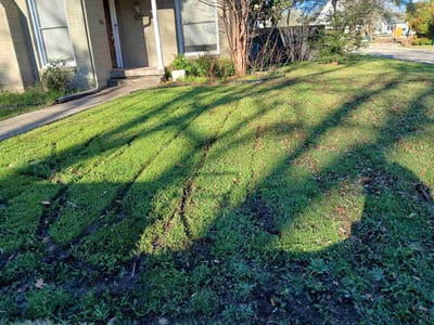 Lawn Care service in Sunnyvale, 75182