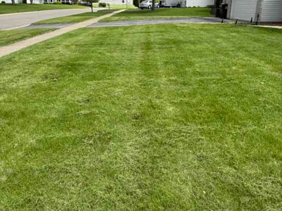 Lawn Care service in Urbana, 61801