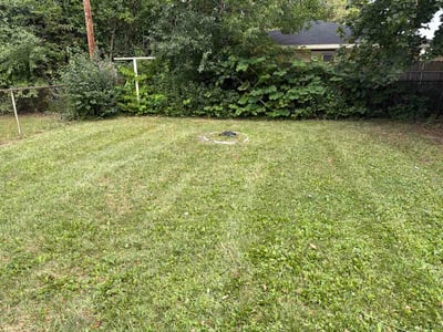Lawn Care service in Burton, 48519