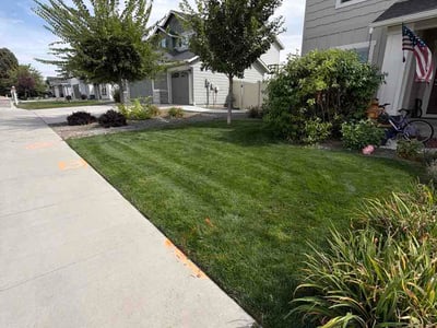 Lawn Care service in Caldwell, 83605