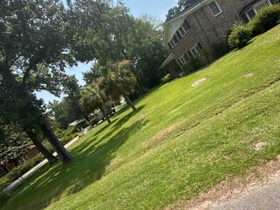 Lawn Care service in Hartsville, 29550
