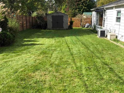 Lawn Care service in Painesville, 44077