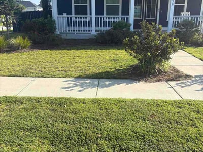 Lawn Care service in Hartsville, 29550