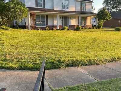 Lawn Care service in Arlington, 38002