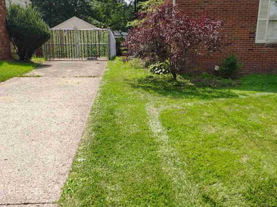 Lawn Care service in Painesville, 44077