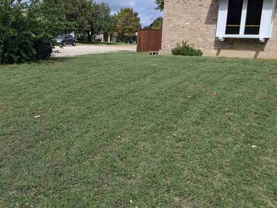 Lawn Care service in Coppell, 75019
