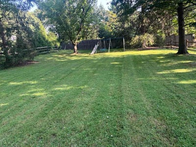 Lawn Care service in Montgomery Village, 20886