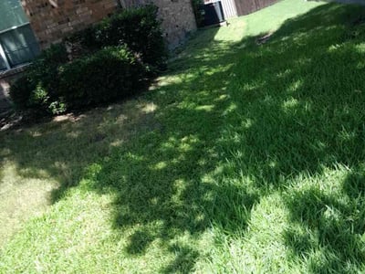 Lawn Care service in Heartland, 75126
