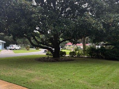 Lawn Care service in Fort Walton Beach, 32548
