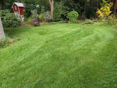 Lawn Care service in Grand Haven, 49417