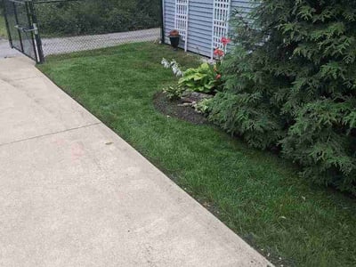 Lawn Care service in North Olmstead, 44070