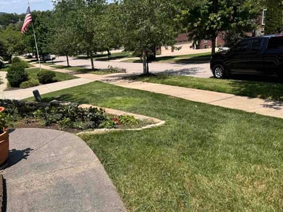 Lawn Care service in Franklin, 37064