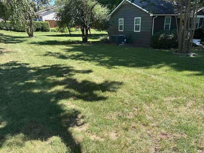 Lawn Care service in Franklin, 37064