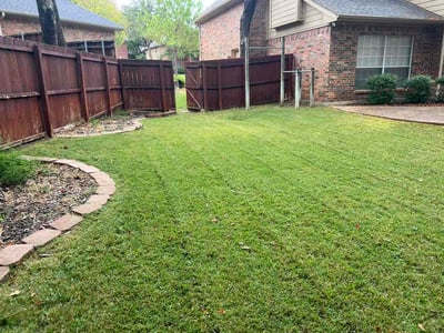 Lawn Care service in Carrollton, 75006