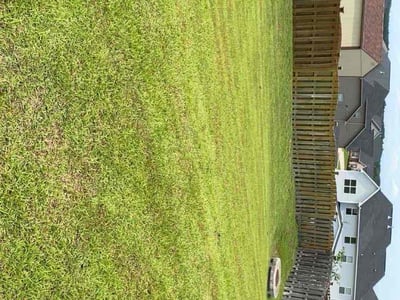 Lawn Care service in Endicott, 13760