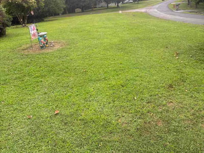 Lawn Care service in Charlottesville, 22902