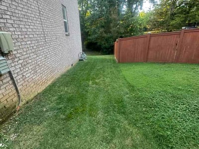Lawn Care service in White Bluff, 37187
