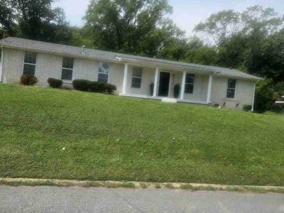 Lawn Care service in White Bluff, 37187
