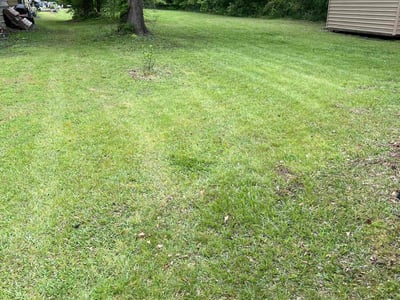 Lawn Care service in Chico, 95928
