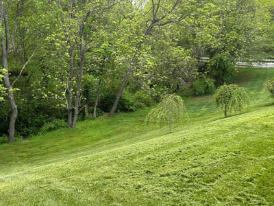 Lawn Care service in Bel Air, 21014
