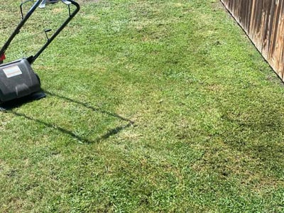 Lawn Care service in Pflugerville, 78660
