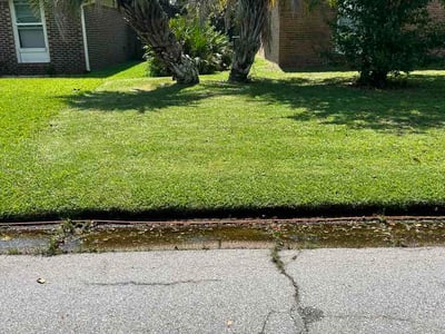Lawn Care service in Niceville, 32578