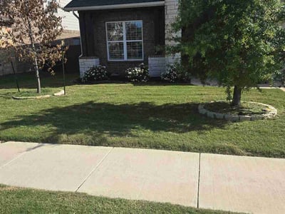 Lawn Care service in Lockhart, 78644