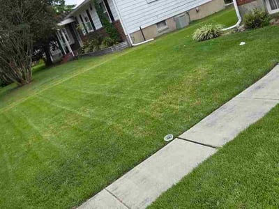 Lawn Care service in Pikesville, 21208