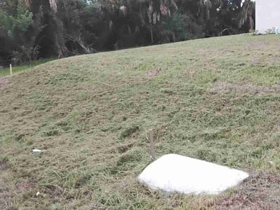 Lawn Care service in Calabasas, 91302