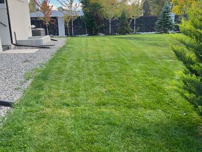 Lawn Care service in ,