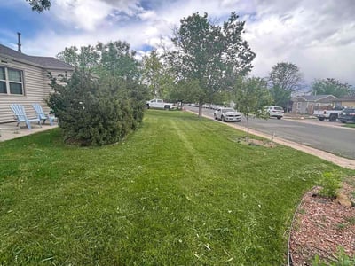 Lawn Care service in Golden, 80401