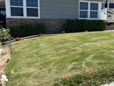 Lawn Care service in San Clemente, 92672
