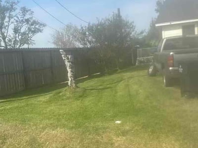 Lawn Care service in Brownsville, 78520