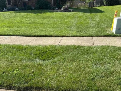 Lawn Care service in Fairborn, 45324