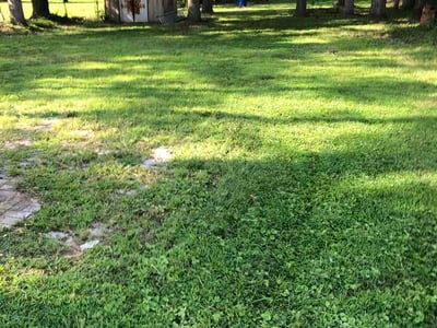 Lawn Care service in White Marsh, 21236