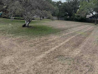 Lawn Care service in Hutto, 78634
