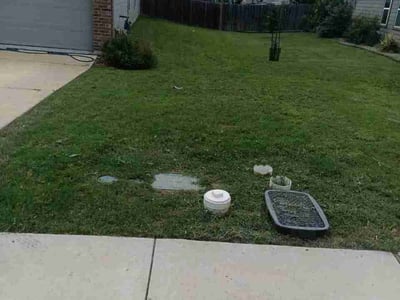 Lawn Care service in Buda, 78610