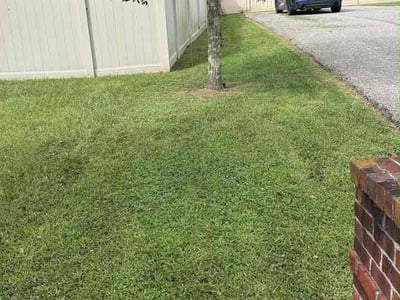 Lawn Care service in Laurel, 20707