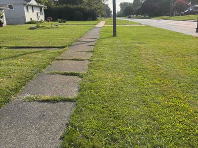 Lawn Care service in Lorain, 44052