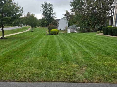 Lawn Care service in Laurel, 20707