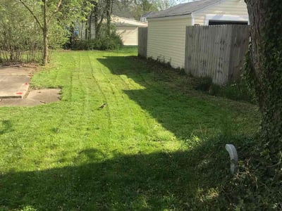 Lawn Care service in Lorain, 44052