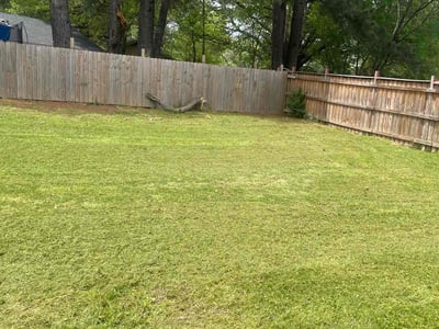 Lawn Care service in Ramona, 92065