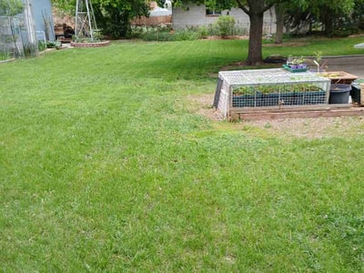Lawn Care service in Ramona, 92065