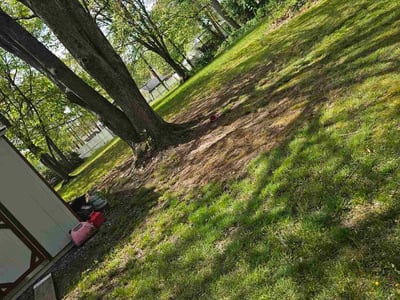 Lawn Care service in Severn, 21144