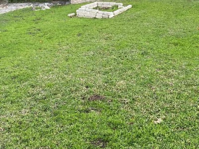 Lawn Care service in Granger, 76530